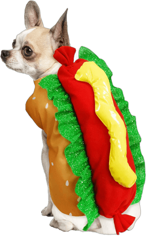 Best Furry Friends Hot Dog Dog Costume