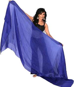 Silk Belly Dance Veil