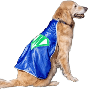 Personalized Dog Superhero Cape | Custom Pet Super Hero Costume - Choose Superhero Emblem and Initial