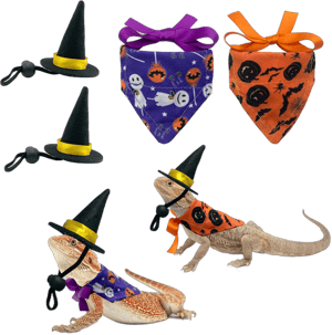 Vehomy 4Pcs Halloween Bearded Dragon Witch Costume Bearded Dragon Witch Hats Lizard Bandanas with Pumpkin Candy Pattern Lizard Wizard Hat Lizard Pumpkin Scarf Outfit for Hamster Leopard Gecko