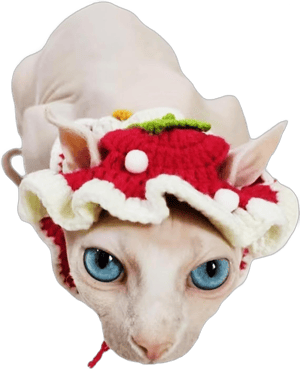 Dog Christmas Outfit,Handmade Knitted Cat Gifts,Cute Cat Birthdat Hat,Funny Strawberry Dog Costume with Adjustable Cord,Dog Hat for Small Dogs, Cat Outfit for Party,Holiday Strawberries