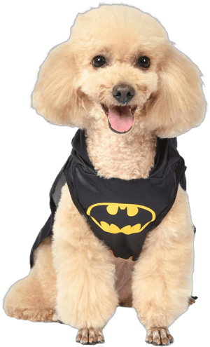 DC Comics Batman Dog Costume