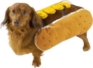 Casual Canine Hot Diggity Dog Costume