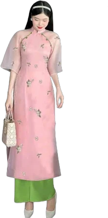 H20 Women's Traditional flowers Embroidered Ao Dai Dress