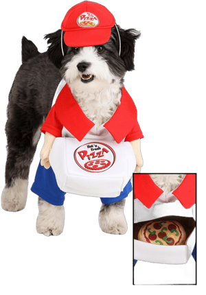 FUN Costumes Dog Pizza Delivery Costume