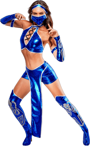 Mortal Kombat Kitana Costume