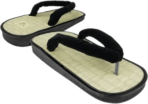 ProWIN Kendo Straw Sandals