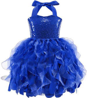 Suppromo Tutu Dress for Girls Sparkly Sequin Tulle Princess Birthday Party Prom Outfit Toddler Girls Sneaker Ball Gown Dress