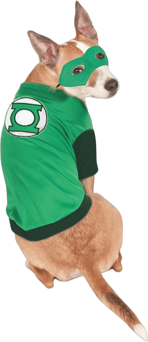 DC Comics Green Lantern Pet Costume