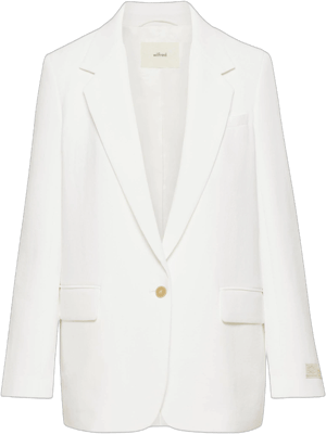 Aritzia Wilfred Women's New Generation Blazer