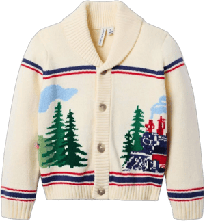 Janie and Jack Boys' Cozy Train Cardigan