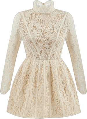 Nocturne Women's Lace Long Sleeve Minidress