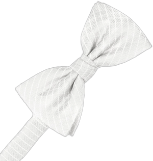 Cardi Palermo Kids Bow Tie