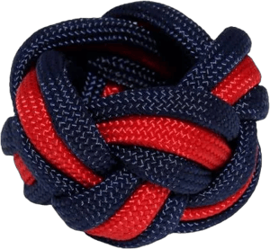 Handmade Neckerchief Slide Woggle for Scouts for Lion Tiger Wolf Bear Webelos Paracord Turks Head Knot by KNOTS SO FAST (Wolf)