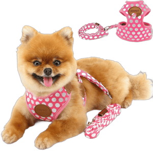 Girl Dog Harness for Small Dogs Escape Proof Safe Puppy Vest Harnesses Polka Dot Cat Harness and Leash Set Adjustable Pet Harness for Walking Running Training Double D-Ring,Pink,S