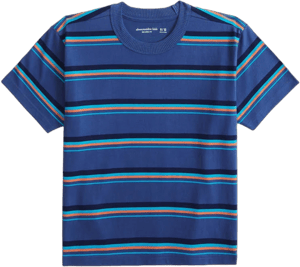 Abercrombie Kids Boys Relaxed Tee