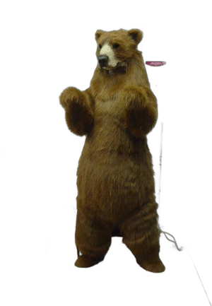 Grizzly Bear Fursuit Costume