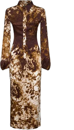 ROBERTO CAVALLI | Appaloosa printed viscose twill dress | WOMEN | Brown/Multi | 44 | Viscose Elastane |