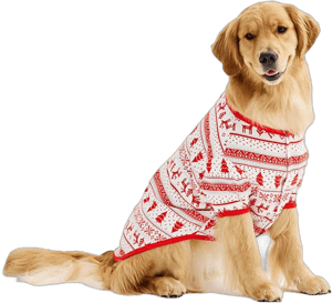 Candy Cane Fairisle Pet Jammies