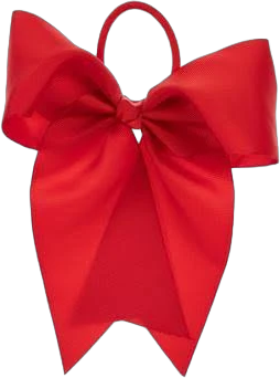 Bow Hair Tie