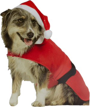 Northlight 32" Santa Claus Dog Costume with a Hat - Size: S