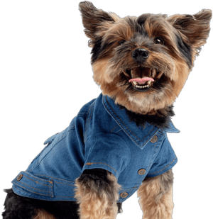 Detoxopia Dusten Denim Dog Jacket