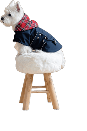 Waterproof Dog Coat With Plaid Hood. Unisex. Red Fleece or Thin Underlayer. Light Reflects Around. Closer with Metal Studs. Scottish outfit.