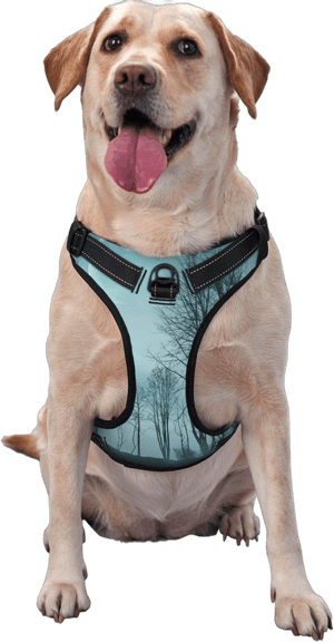 Night Forest No Pull Dog Harness for Large Dogs No Pull Dog Leash, Adjustable Large Dog Harness Reflective Dog Vest Harness, Easy Walk Dog Harness for Medium Dogs No Pull Pet Harness